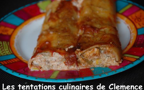 cannellonis-au-serac--aubergine-et-saumon.jpg