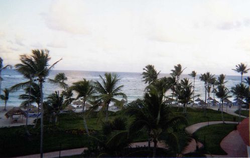 img647.jpg