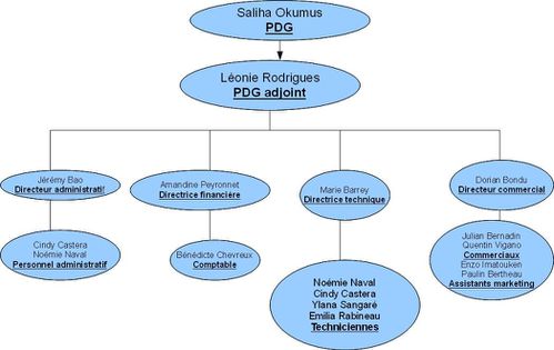 organigramme odp prsentation administratif