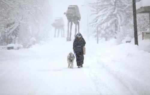 at-at-humor-star-wars-cool-digital-art-funny-cdeb5_h.jpg