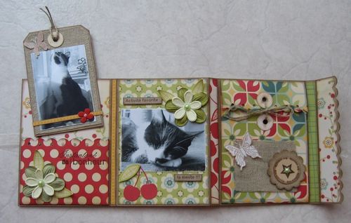 Mini-album ouvert 3