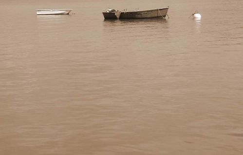 Ile-aux-moines-barques-sepia.jpg