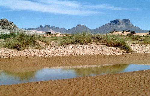 Tasili-nadjer-Algerie-copie-1.jpg