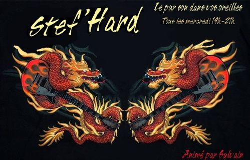 Stefhard Flyer copie