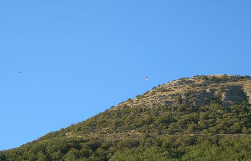 DSCN8531