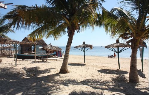 vacances-cocotiers.jpg