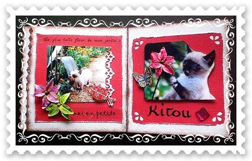 mini-chats2-copie-1.jpg