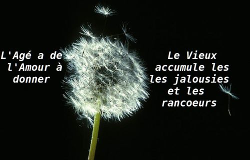 Amour-rancoeur.jpg