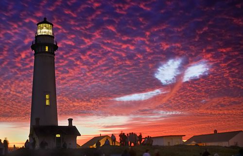 sky-whale-pigeon-point.jpg