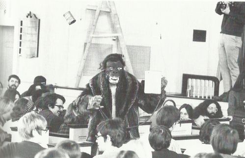 Knowles Alison as Gorilla 1970 Flux Mass (Maciunas)