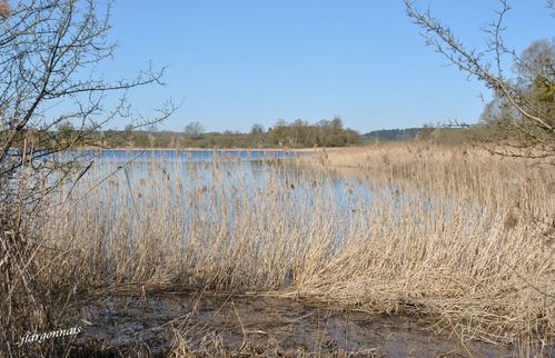 Ville sur Tourbe 06 04 10 (14)