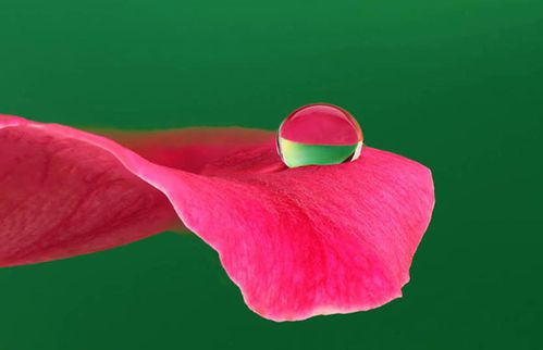 holy-water-of-compassion.jpg