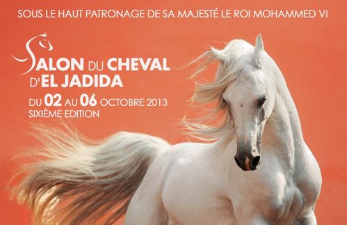 salon du cheval el jadida 2013