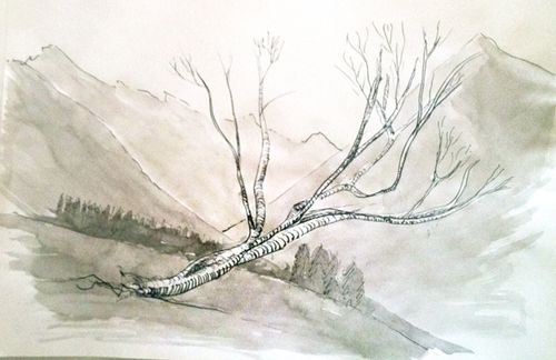 Paysage à l'encre