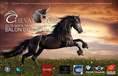 salon-cheval-toulouse-2013.jpg