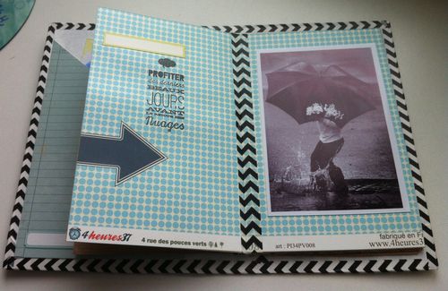 Mes-minis-1295.JPG