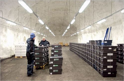 svalbard global seed vault 11