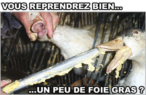 foie top