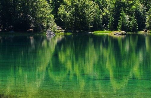 le-lac-vert-62b4a230-8288-49ff-9b3e-7435b9d202dd-copie-2.jpg