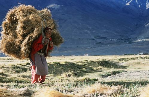 Himalaya--terre-des-femmes-photo-2.jpg