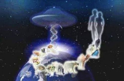 creation.jpg