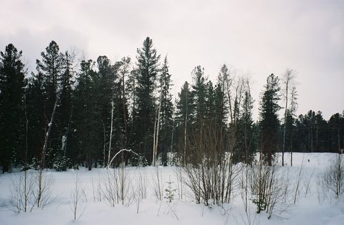 Siberie6
