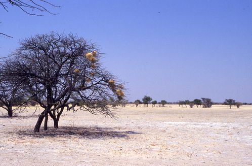 File0069.jpg