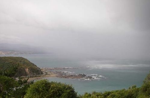 Wellington-Storm22.jpg