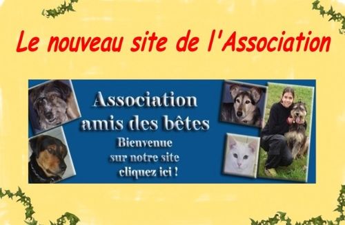 nouveau site2