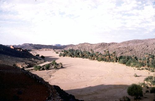 oued palmeraie Tessalit