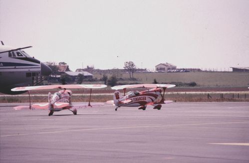 patrouille-ecureuil-4.jpg