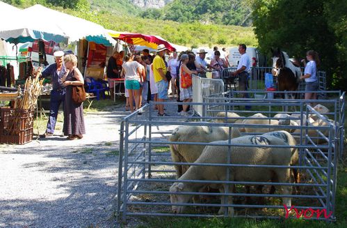 Foire aux agnelles-17