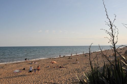 F11_3717.JPG