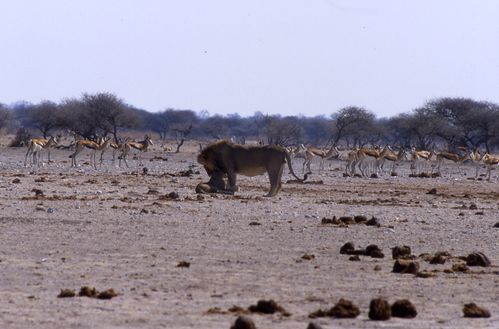 File0226.jpg