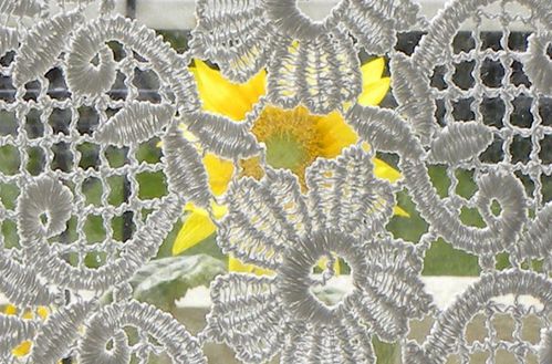 Rideaux tournesol