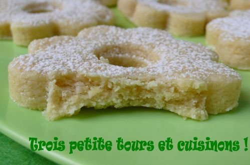 biscuitfleurcitronvert.jpg