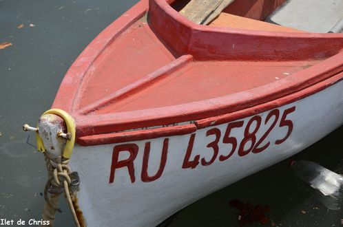 PETITS BATEAUX IDC 4