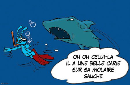 -careme2012-lapinbleu-13lundi2-1Alix17