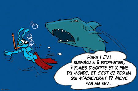 -careme2012-lapinbleu-13lundi2-2Mel