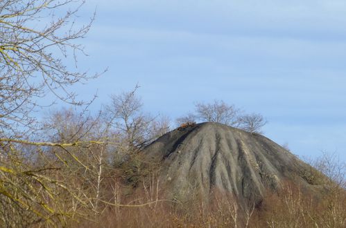 LES FERRIERES-2014-01-06 - 0011