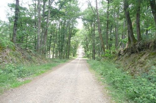 Rencontres foret de bouconne