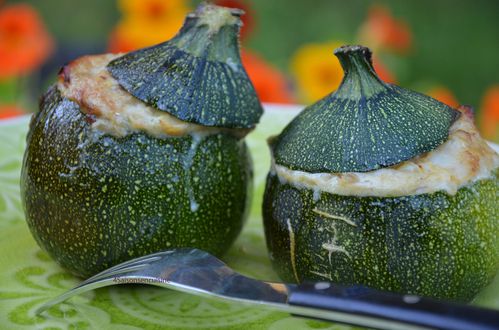 Courgettes portugaises 4