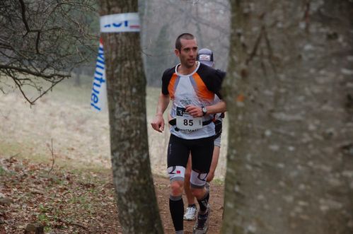 olivier-morin.jpg
