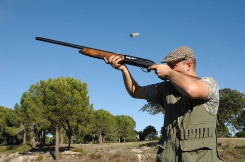 fusils-pour-la-chasse-id457.jpg