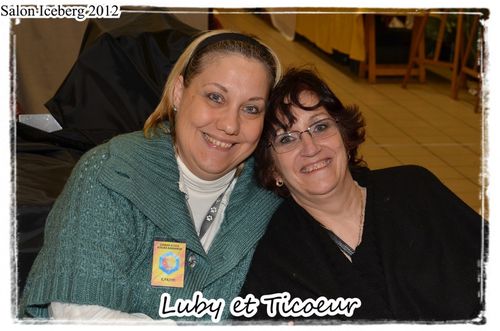 2012 03 salon iceberg 2