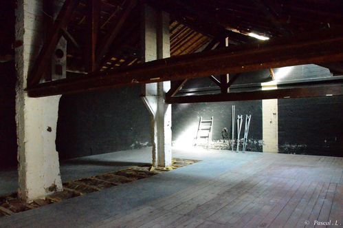 2013-5336.JPG