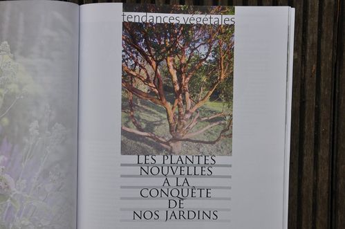 30-ans-de-creation-de-jardins-en-France-janv-2013 0144 (Cop