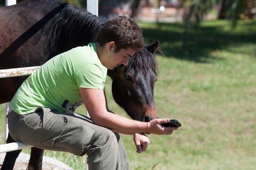 Smartphone pour les chevaux