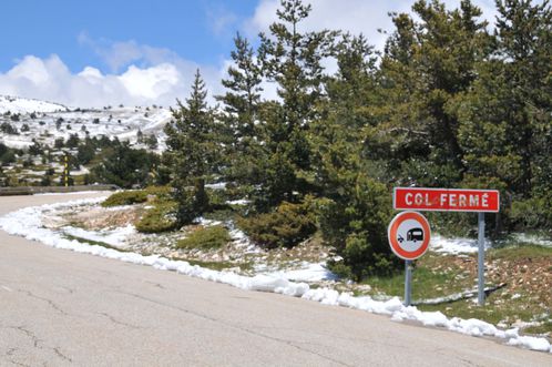 Ventoux mai 2013 2