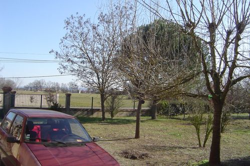 DSC07238